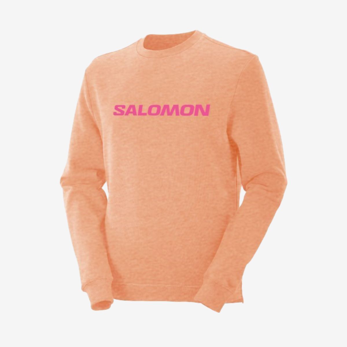 LOGO LT CREWNECK K