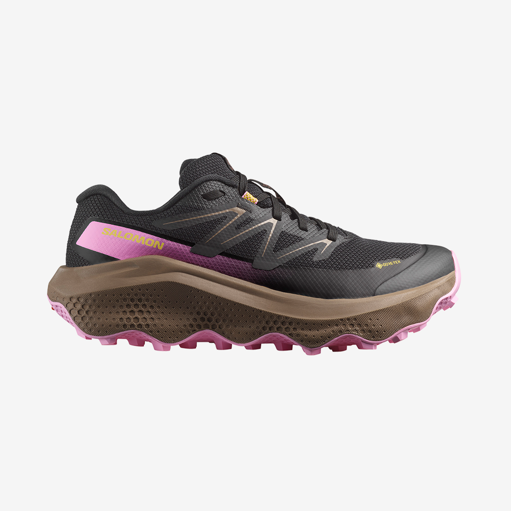 ULTRA FLOW 2 GORE-TEX W