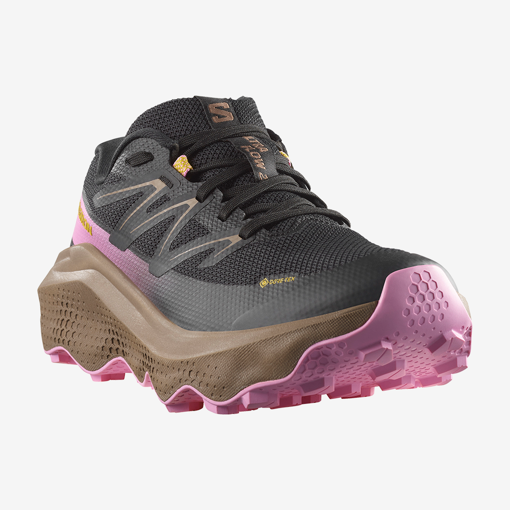 ULTRA FLOW 2 GORE-TEX W