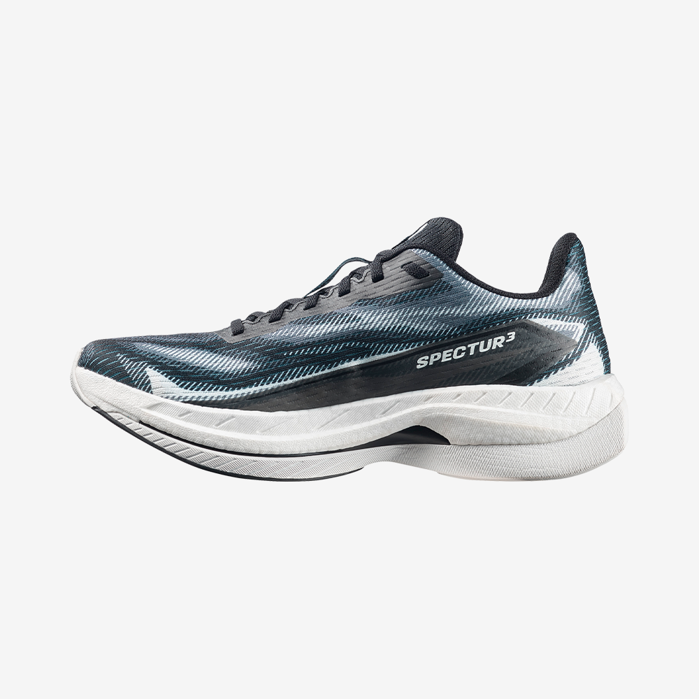 SPECTUR 3