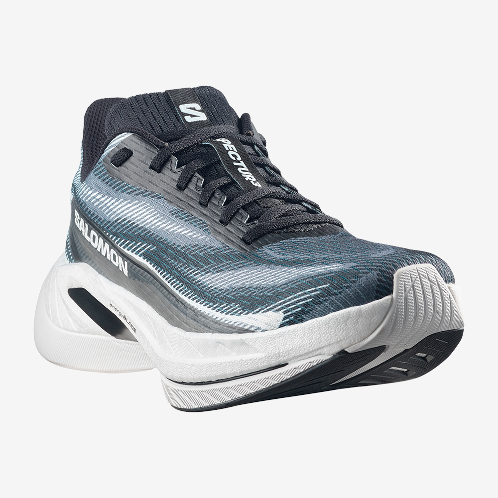 SPECTUR 3