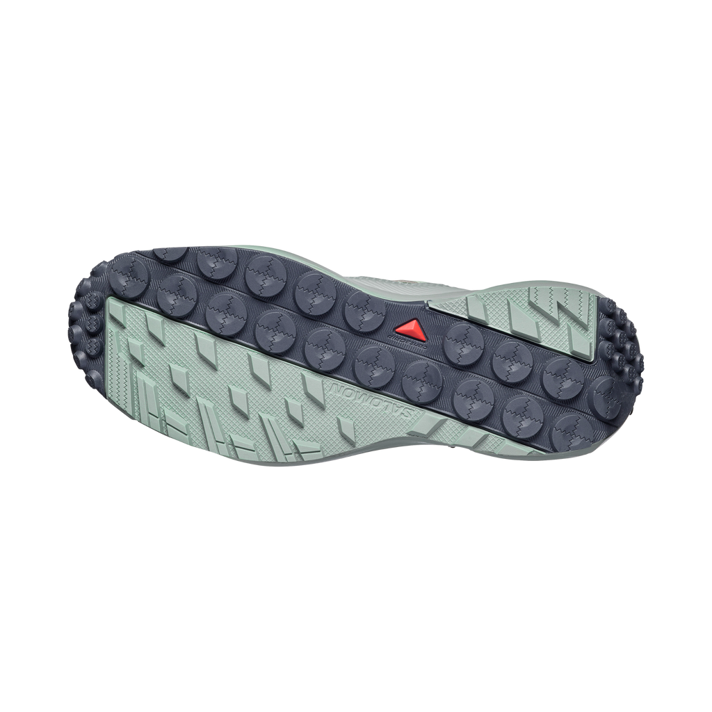 TERRAMPHIBIAN