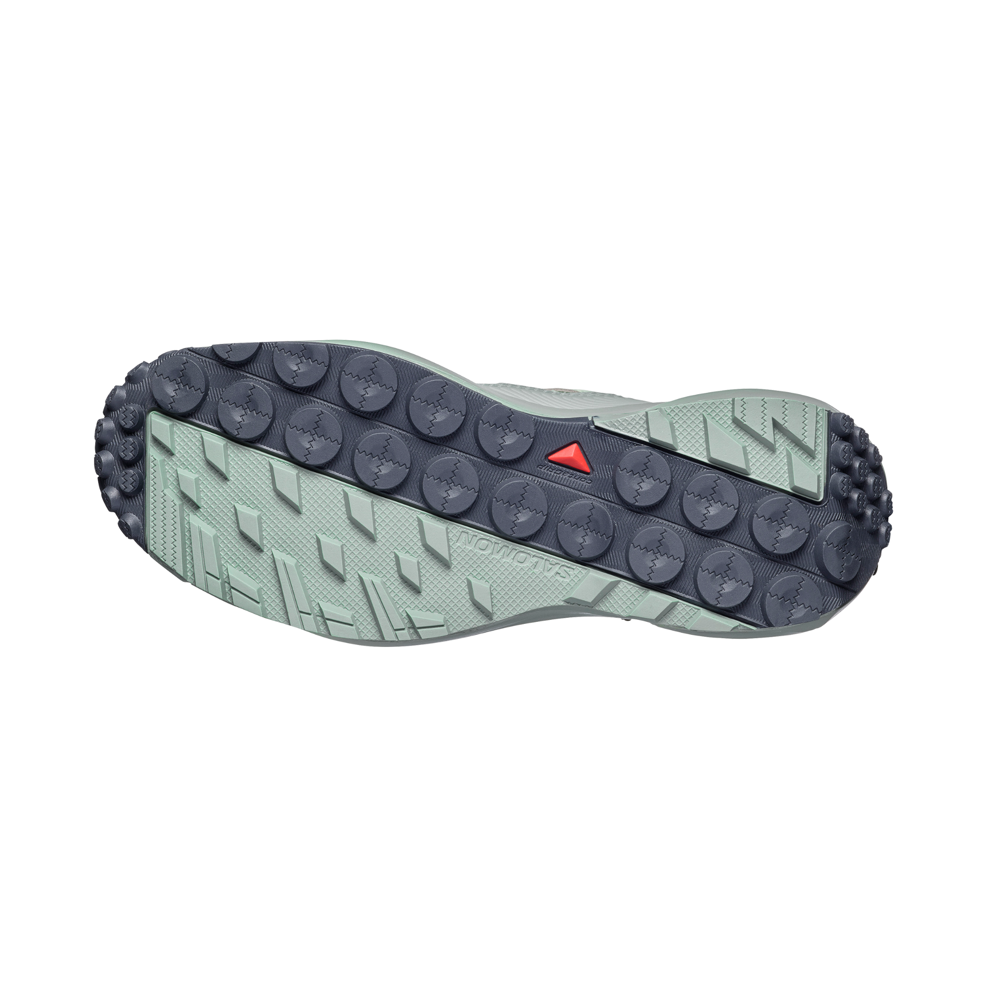 TERRAMPHIBIAN